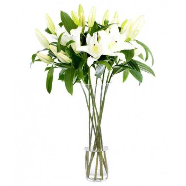 White Oriental Lilies for Home or Office